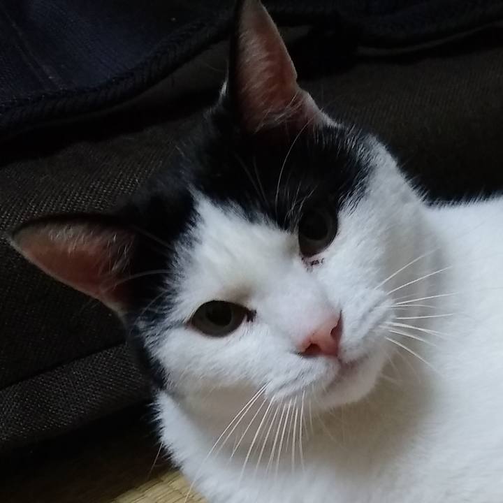 E0cdbfa8 7d8c 4ad5 a3d6 b1f0695ff46e 1558089539635