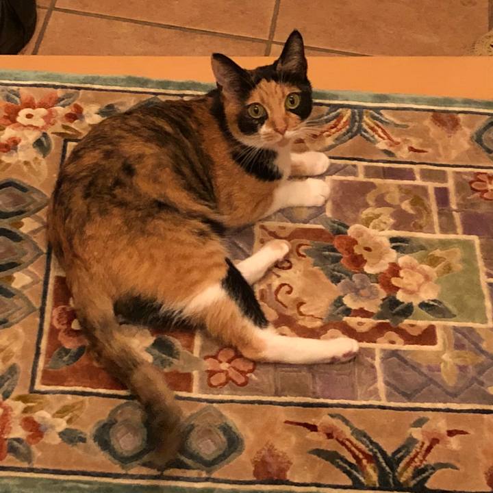 E0ce2203 6312 48da bb50 ed1d9d79b158 1535114233228