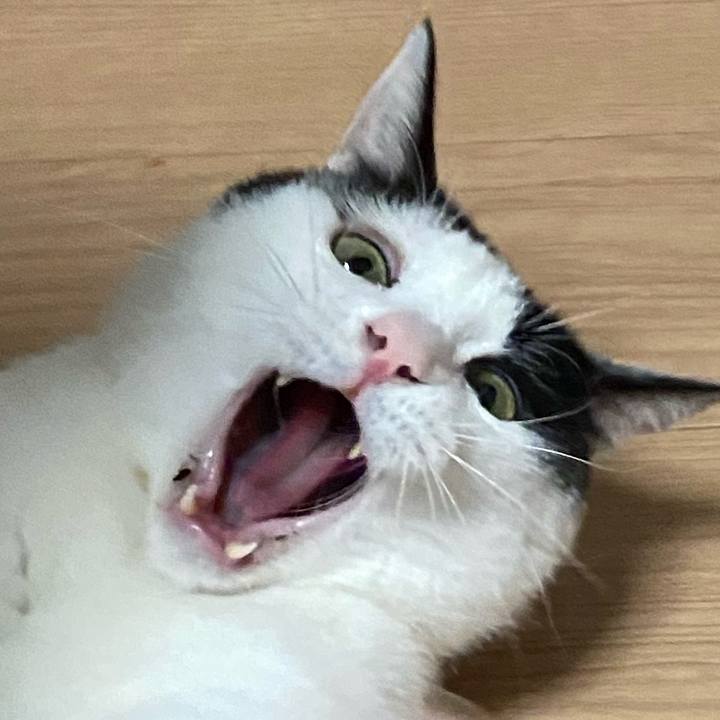 E0ce6346 3af9 48da 9cb7 05cbb13edd16 1604662426293