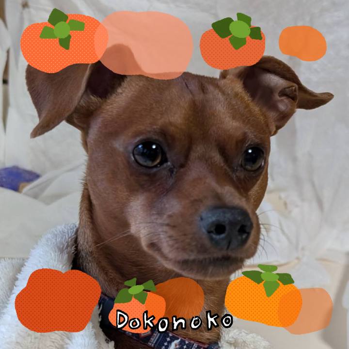 E0ce8c3c 0f88 4d2b b509 82a012e1d8f9 1761918463843