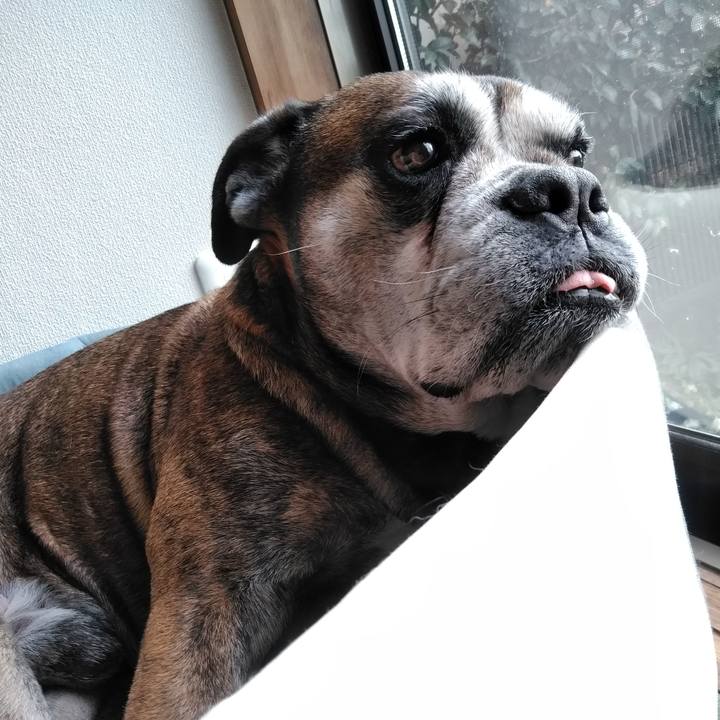 E0cea7ab fd4e 441f a8bc 0dde38c3615e 1551698476269