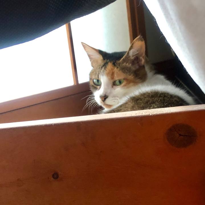 E0ced8dd 0e13 42ae 8ca5 c4607980e6f9 1567394962481