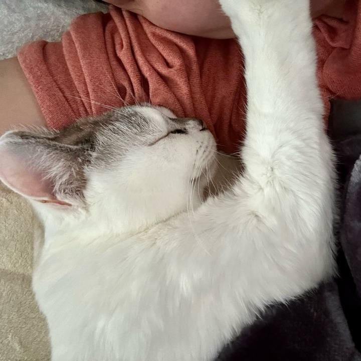 E0cedc20 e108 47bd 9769 3b385c0ecda5 1703027941201