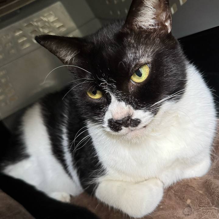 E0ceddcb e013 420b af8e 975822eb4c63 1759710024579