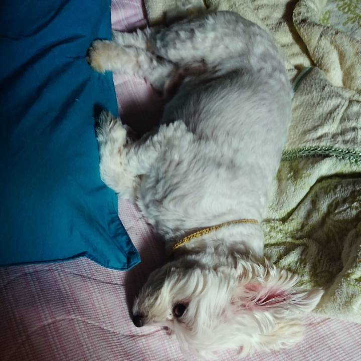 E0ceddd1 f6a2 422b b2f6 347f9e0af483 1535118626578