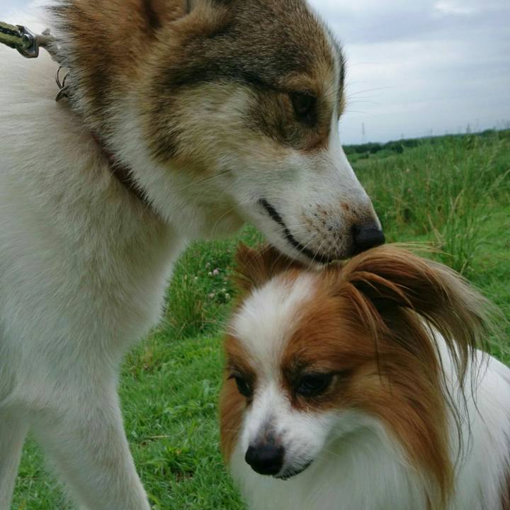 E0cf1c63 b1b5 47f9 9ea8 331afe3b1424 1562502790140