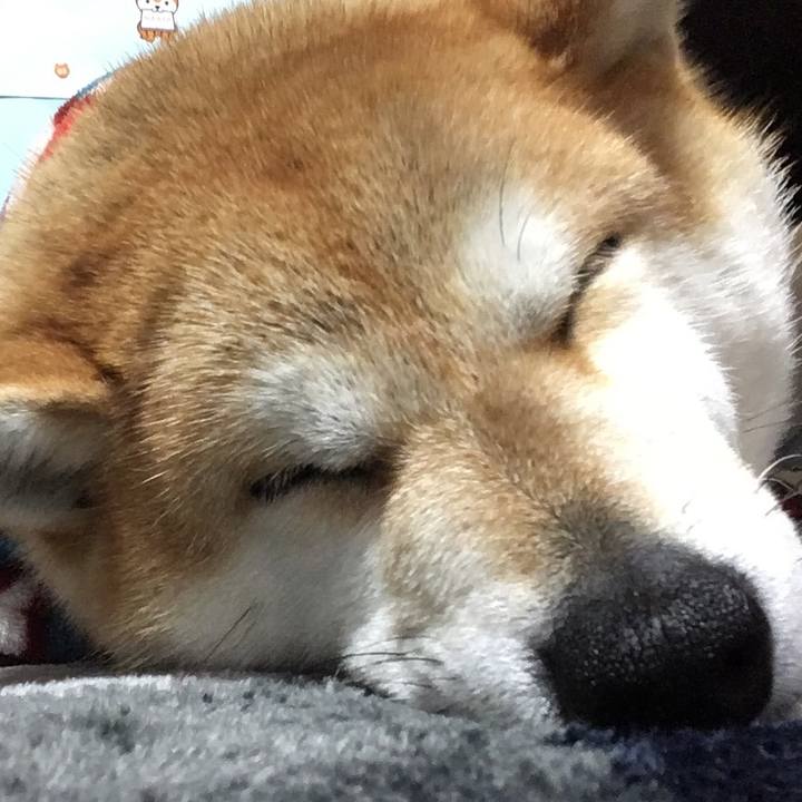 E0cf1f90 95b1 48cf 9843 29f1b3fb5aab 1583318351299