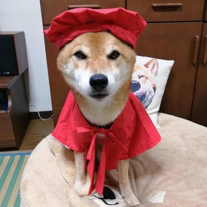 E0cf44f7 6c35 4cd6 a3e1 fee12b8aeedf 1596542942429