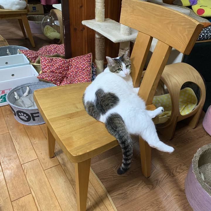 E0cf4b4c 280b 457c a8a0 c05cc889e0ca 1596717962215