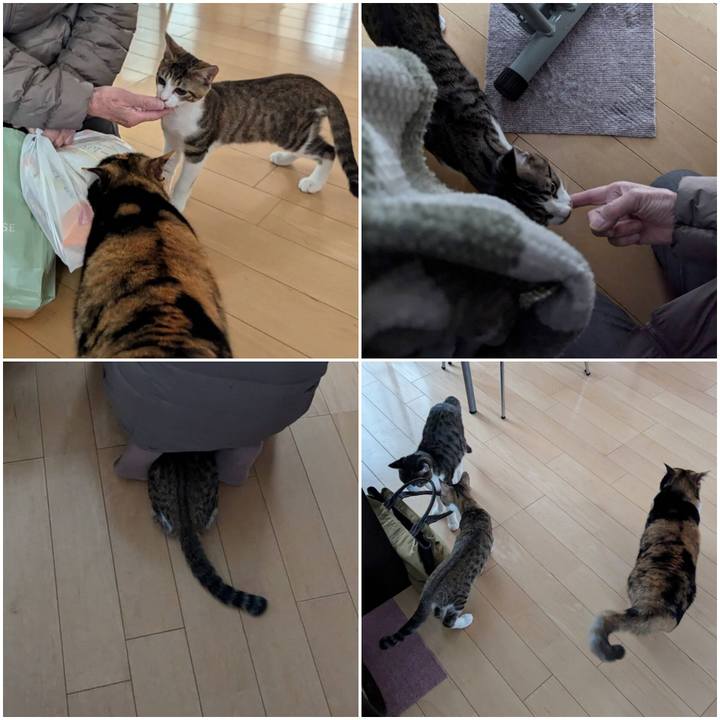 E0cf74aa 299d 444c 9786 50acaa81b1c1 1732774594504