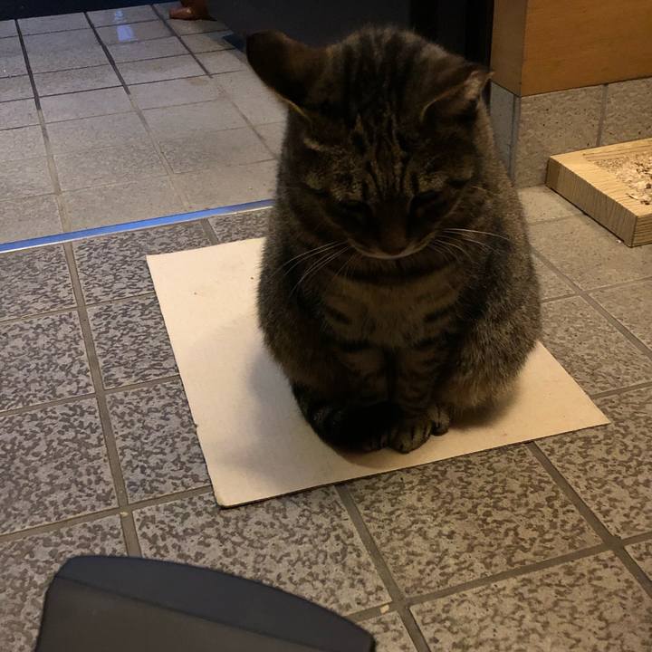 E0cfa47a 9778 4f57 8fd4 ab6f58047701 1602932594776