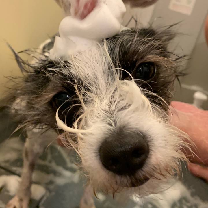 E0cfc3f3 9589 4181 a61f ac753efa6c7e 1560652741253