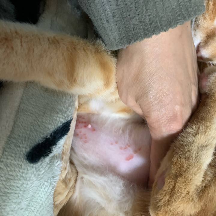 E0cfcb31 1618 480b 92a8 f0ff2c5c450c 1610059404744