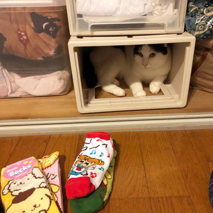 E0cff8b2 0a40 4a55 b747 6af25329ad4a 1596977505280