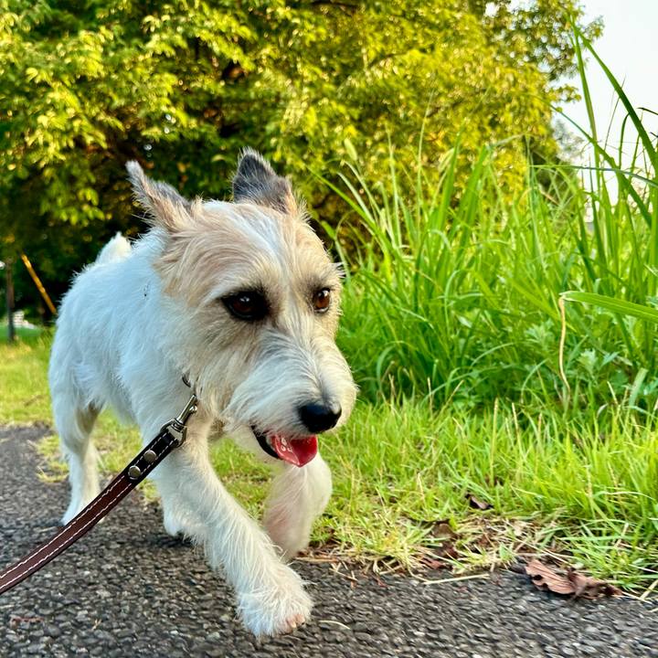 E0d00b6d 79f8 4949 adf1 7b968c64b8ad 1754470173669