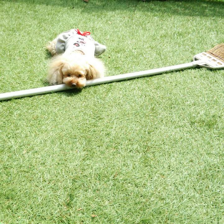 E0d00f03 abdc 4f2b 91c5 a627e1af05e5 1523955694724