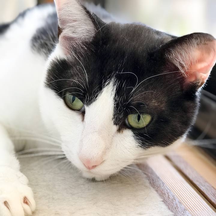 E0d022f9 8a1a 4458 85aa 72eff0cf2017 1527948370145