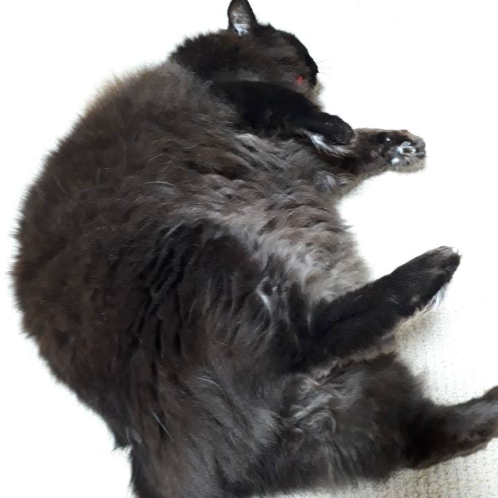 E0d04ab5 1d11 4f6a b5c9 46de4bfcf5f9 1518026228202