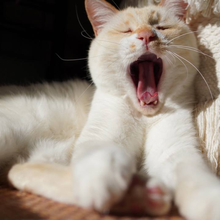 E0d05040 4f8d 46c3 9b1e 02d9a3d938c2 1768193990945