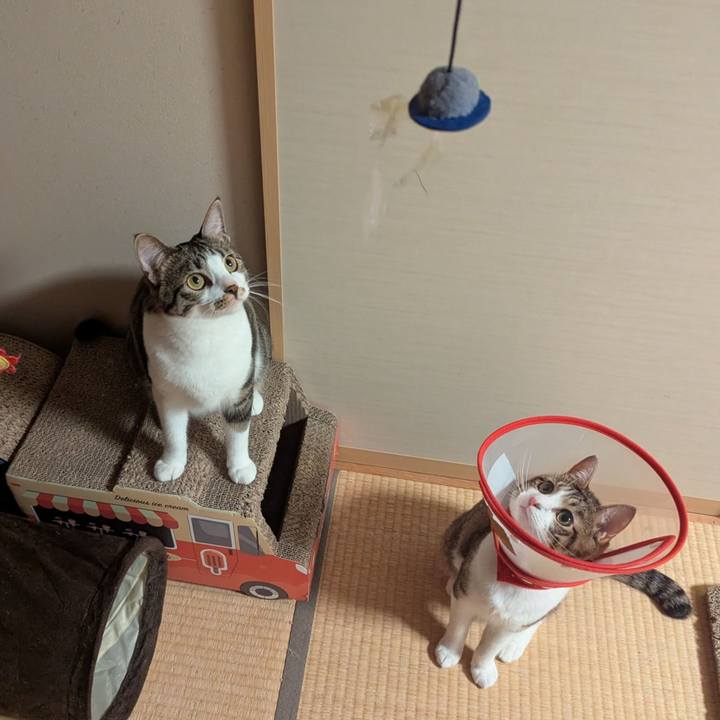 E0d09f4b 0d0c 4fb8 8b2c c11068895b92 1760159003187