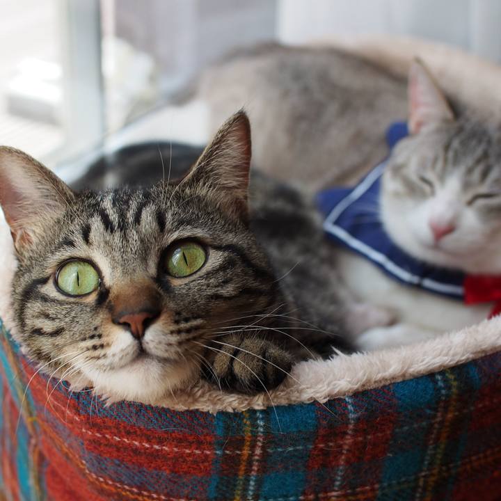 E0d110f6 793c 427c beff d0707bcaf2af 1560035396994