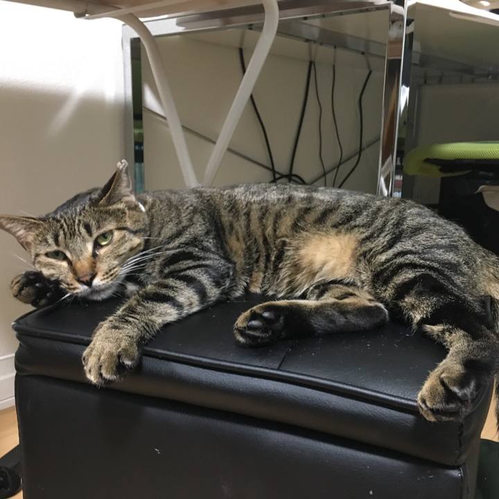 E0d199a5 07a9 468e b917 8e6e15adca4b 1532254242256