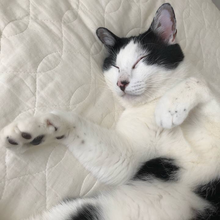 E0d1a117 a4ac 4f23 9ff2 3eaa5fa73f96 1559186967042