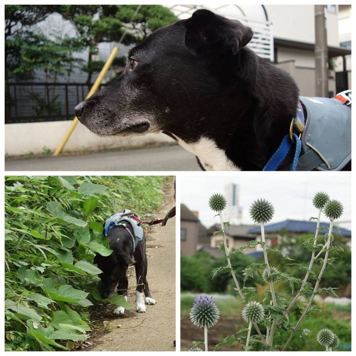 E0d1a397 b36e 4d0e a8ec 9be713af528e 1719705390718