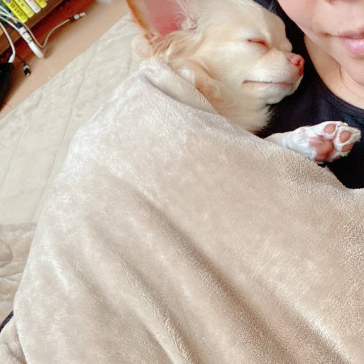 E0d1d281 3887 4f3e 92cf 8a424892aa3d 1642481264928