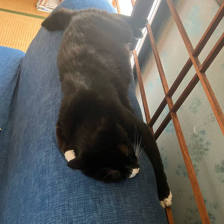 E0d1fae7 4237 49d6 a2a8 e629f4a8ef9e 1691651084068