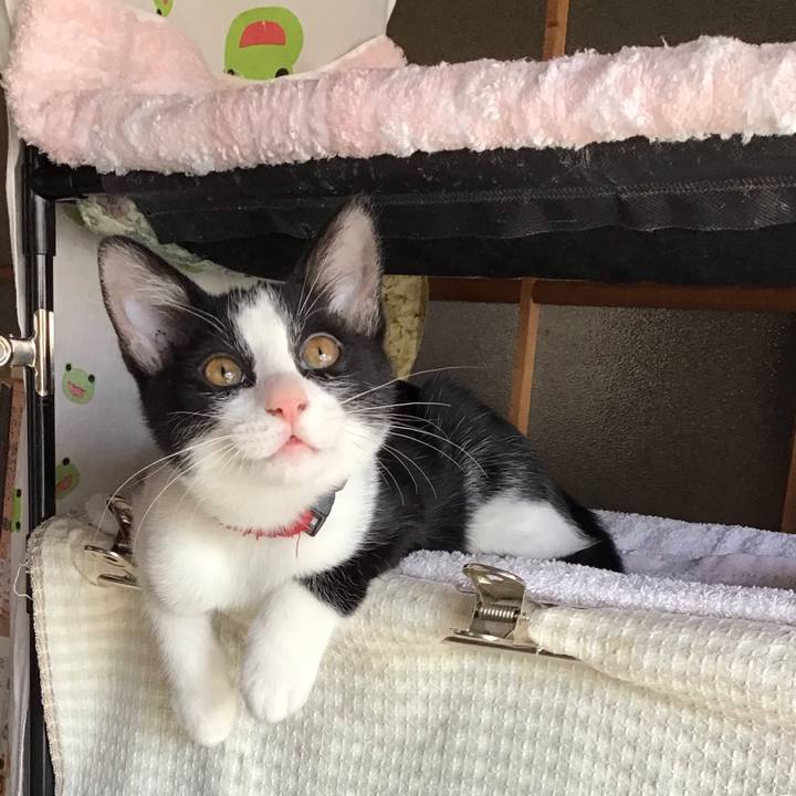 E0d1fccd 6322 41ce a943 2de749ff75fe 1627780040574