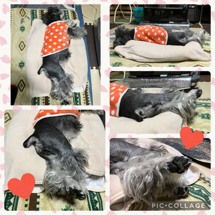 E0d2081c 5ce9 4066 97ce 45ea826994d2 1740881800978