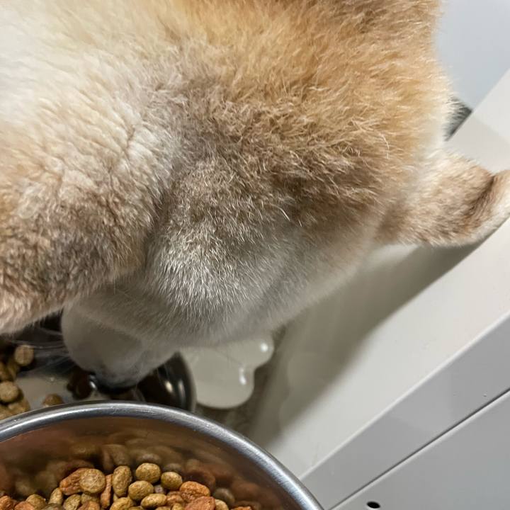 E0d25462 fe3e 4131 846e ae4642e9b8e1 1711493230529