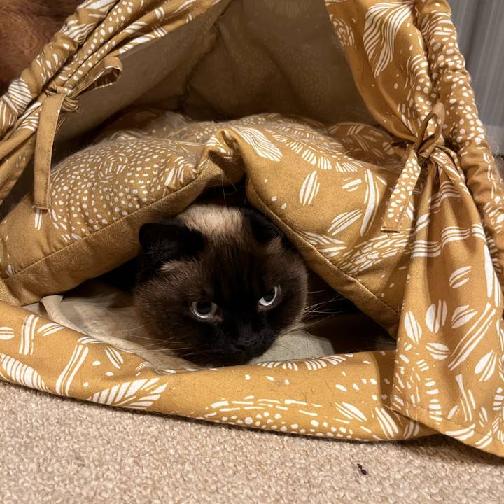 E0d26e87 cb79 476b 8984 f22740a4c0f0 1715170602894