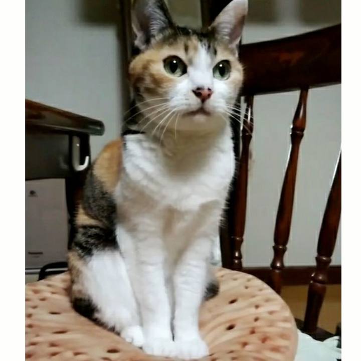 E0d2828b 432e 40b1 a153 c4e364652d5e 1617444317268