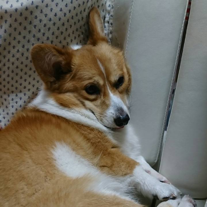 E0d282fd 3431 4f32 919d 81e88f1d9407 1533356987552