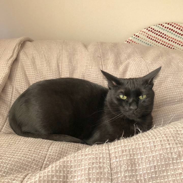 E0d291a8 10b2 4f0f 82cb 570f390f6117 1522067719132