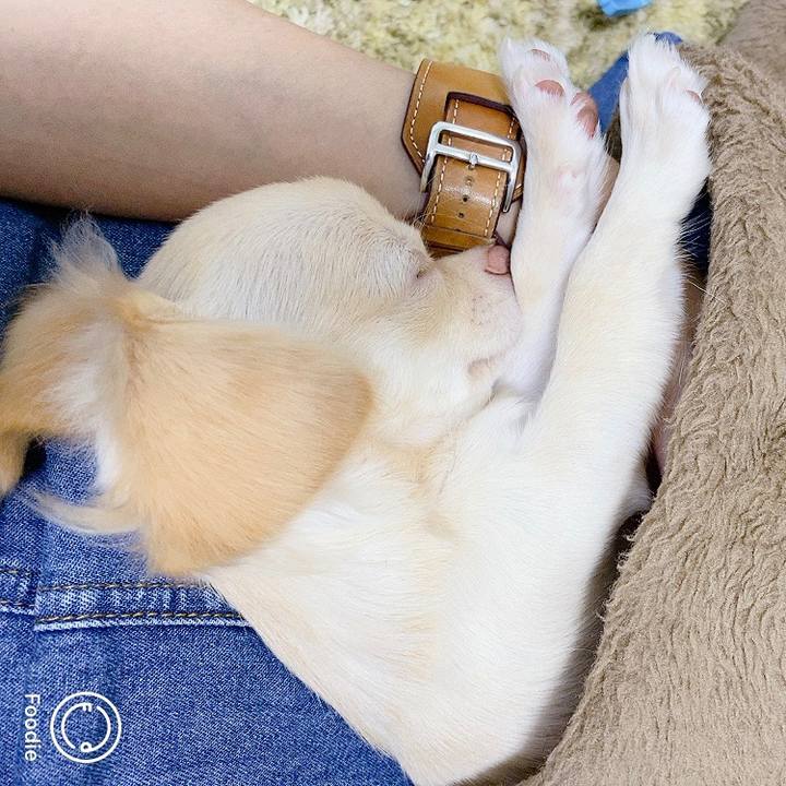 E0d2b6e1 95db 44f3 b148 faccd9161322 1596703397129