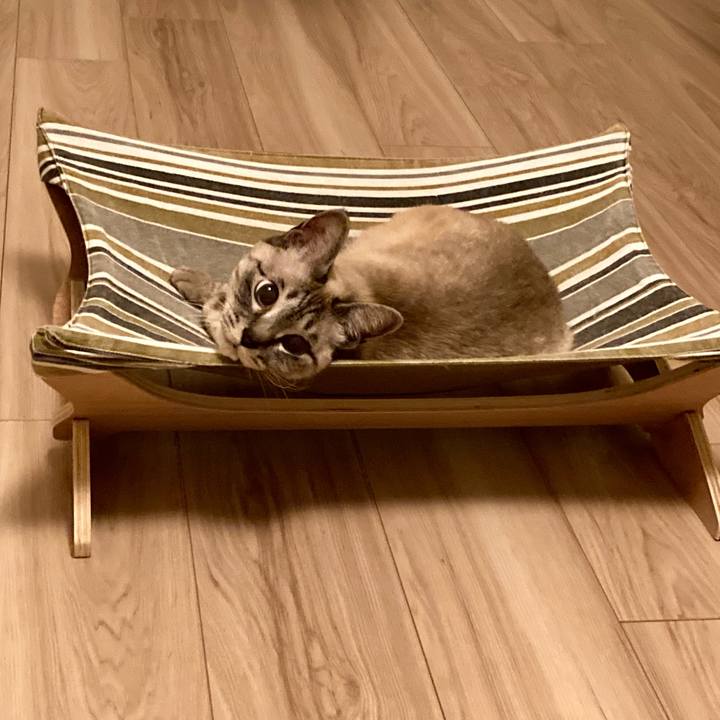 E0d2c9d4 06ab 4a14 92cd baf0a8db802c 1649858117950