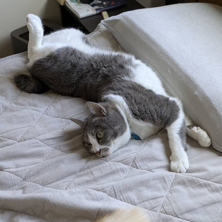 E0d2ddd5 621d 45b6 9267 66f57fa8dd8f 1751105056014