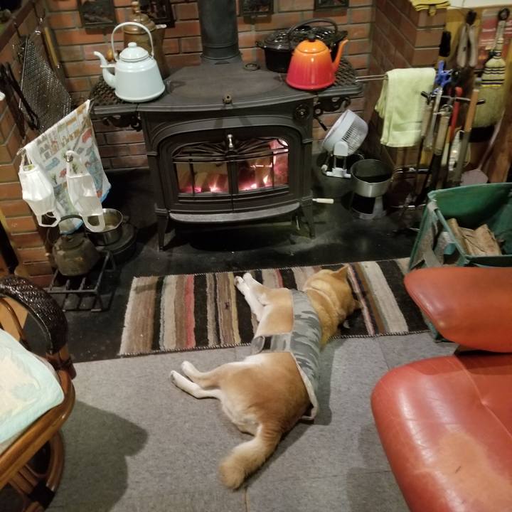 E0d2f935 94b8 490e 866d 3c41e177eb2c 1616320687010