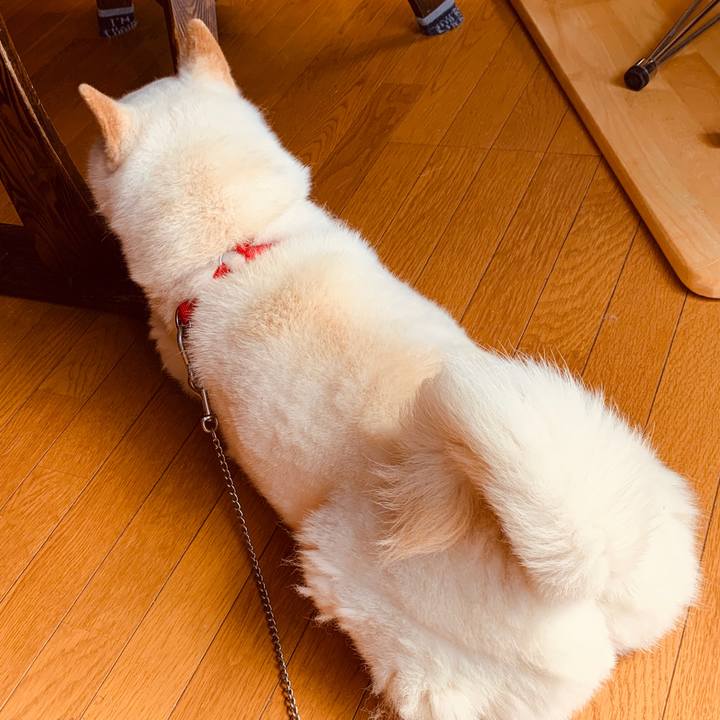 E0d31097 72b7 47fc 9525 e5b7263e9981 1584498756108