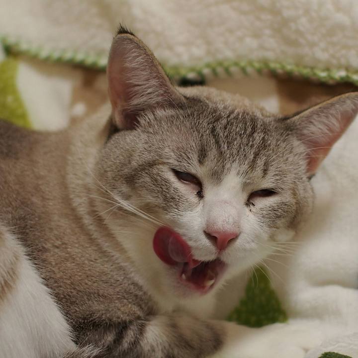 E0d31e46 e736 49ed 965c 9400e7d62d8f 1542238174084