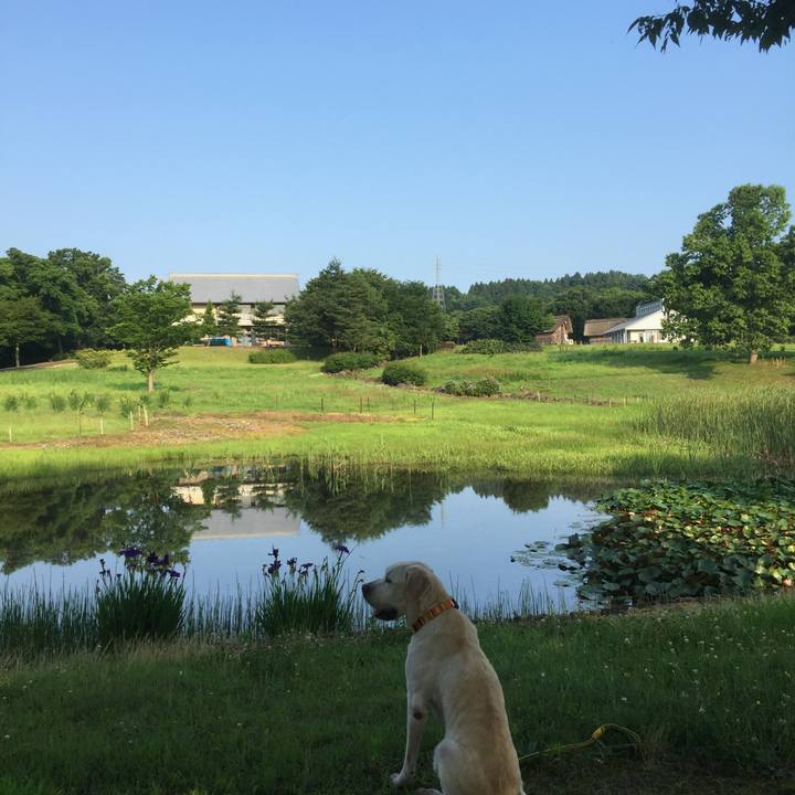 E0d33508 933e 46e3 b6c7 0f4ef5e0fc63 1553224054270