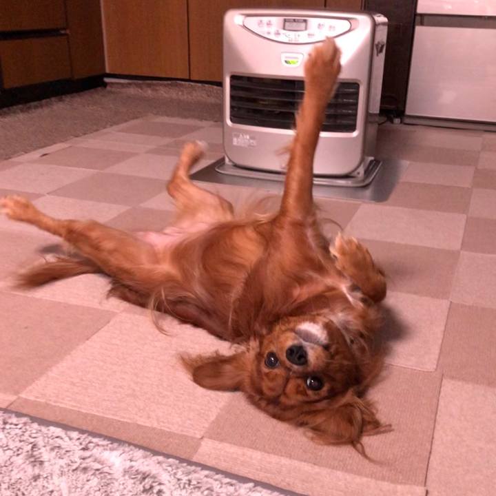 E0d33976 9410 4d74 a778 663f36d08dc9 1574027303010