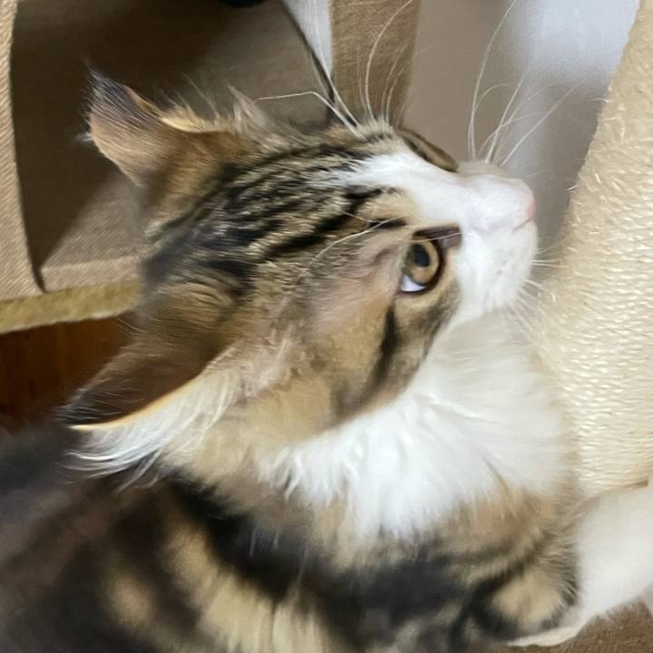 E0d3e8ca 0809 48af 97b7 74cfc6be19b4 1634850867852