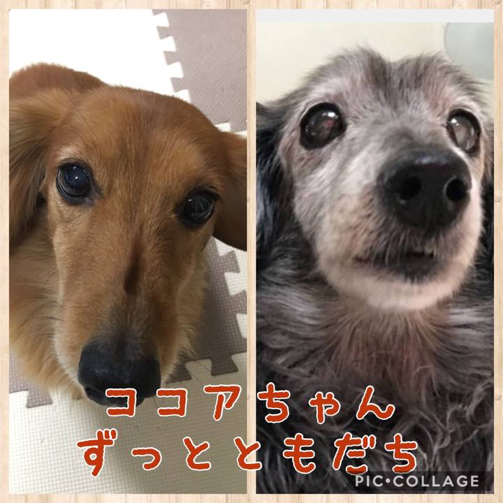 E0d3f429 9ff9 4a49 b278 ef5fc93e76ed 1517925985350