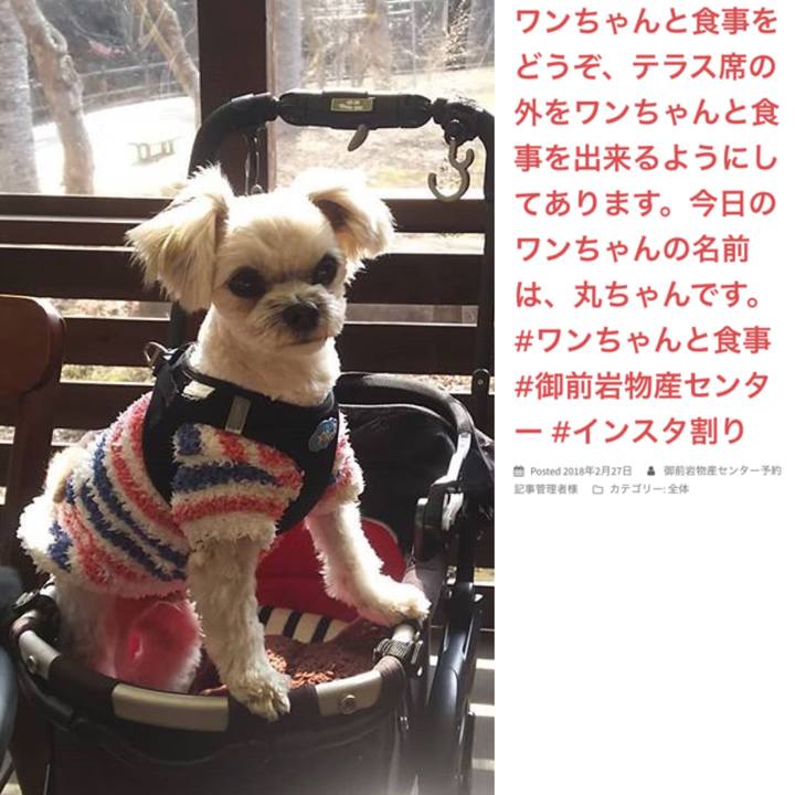 E0d4a029 7356 4177 a7a9 27ba2f361718 1520149193347