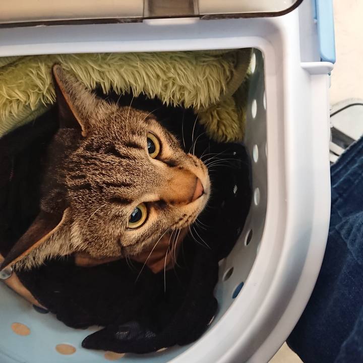 E0d4b7f0 7558 4e14 b108 081fc2f67046 1521255657925