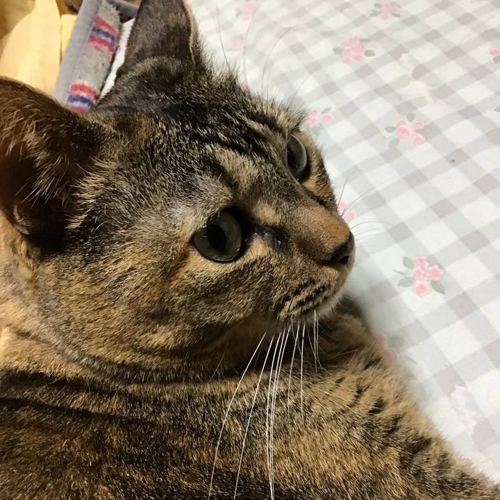 E0d4ef2d ccbf 4dc9 80ca 2aca936e2e5f 1736242677526